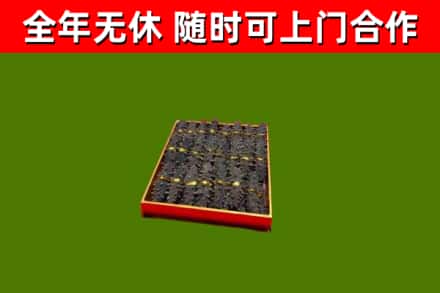 英德回收海参